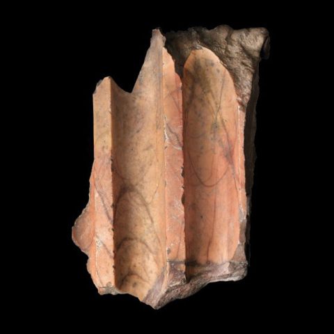 The Colours of Antiquity. Santarelli Marbles at the Capitoline Museums