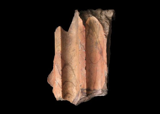 The Colors of Antiquity. Santarelli Marbles at the Capitoline Museums