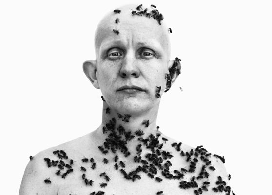 Richard Avedon. Ronald Fischer, apicultor, Davis (detail)